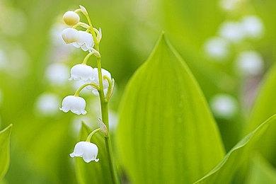 差距拉大 2022年5月PS5与PS4生涯同期销量对比